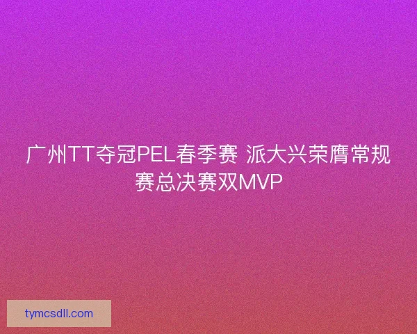 广州TT夺冠PEL春季赛 派大兴荣膺常规赛总决赛双MVP